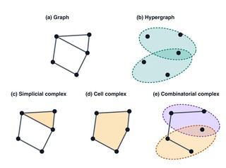 Collapsed Effective Operators for Higher-order Structures teaser