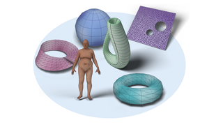 Topological Neural Operators teaser